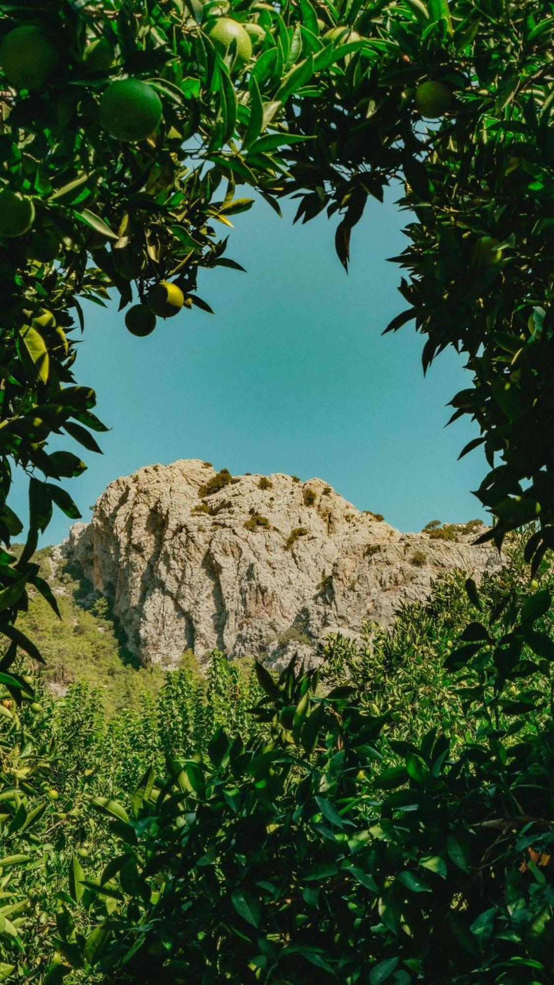 Kumluca Sheriff, Olympos מראה חיצוני תמונה